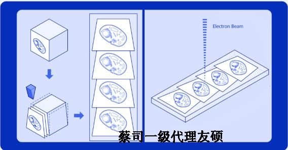 宝山蔡司宝山扫描电镜