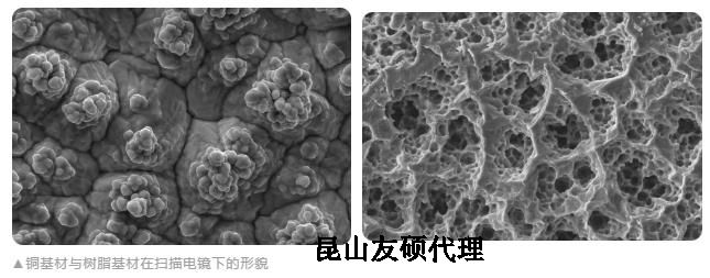 宝山蔡司宝山扫描电镜