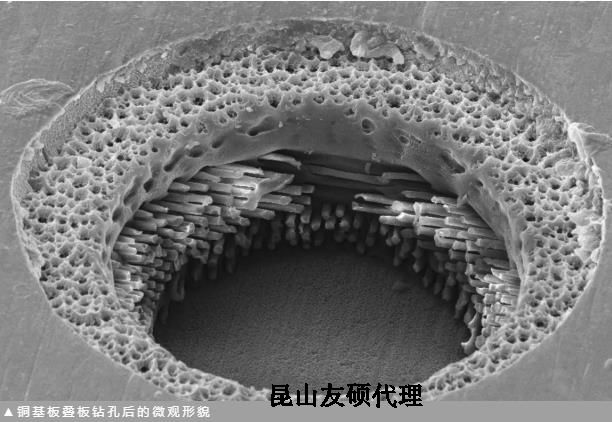 宝山蔡司宝山扫描电镜